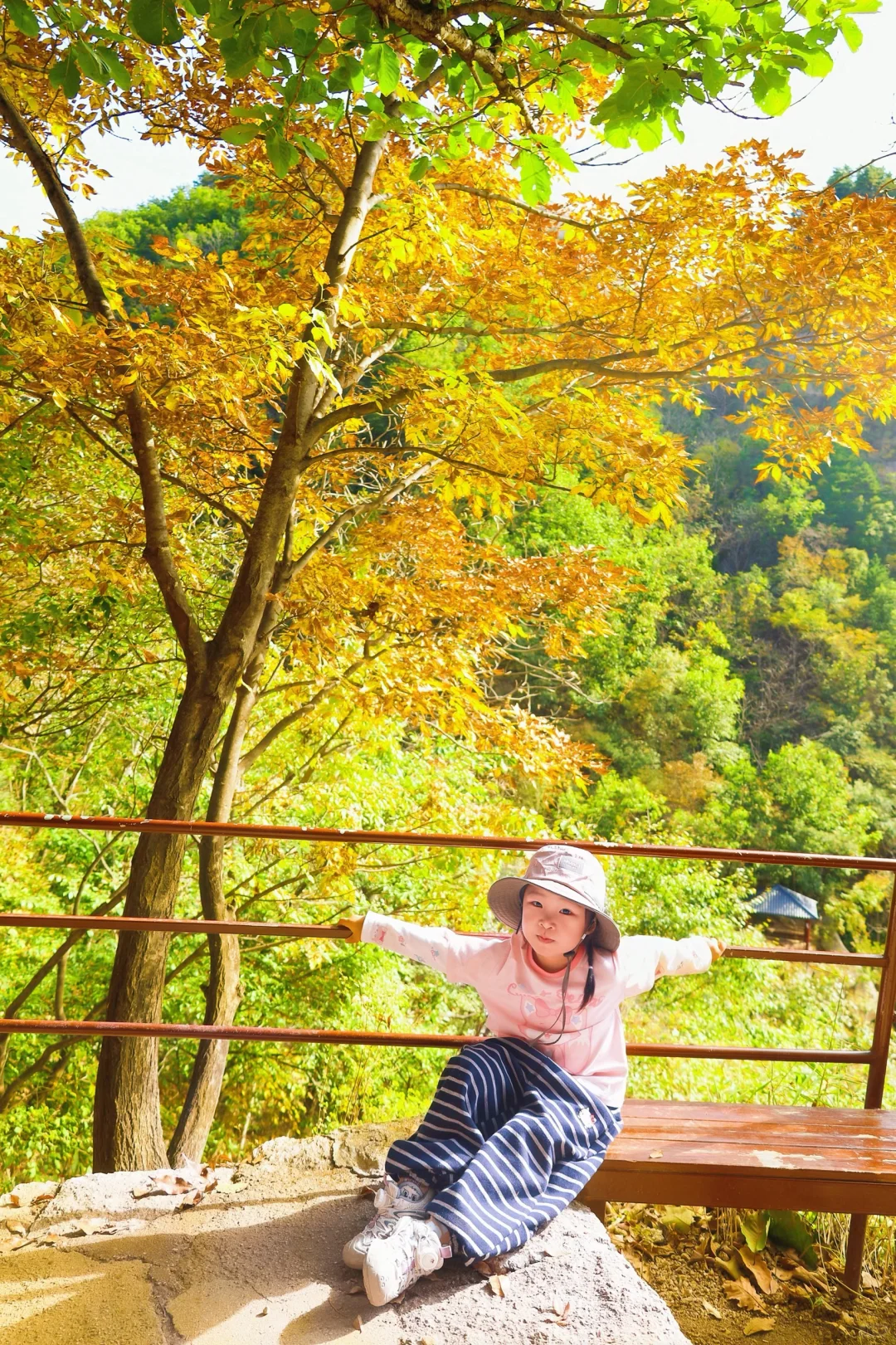 🚗京津周边|山里已层林尽染，人少景美绝绝子