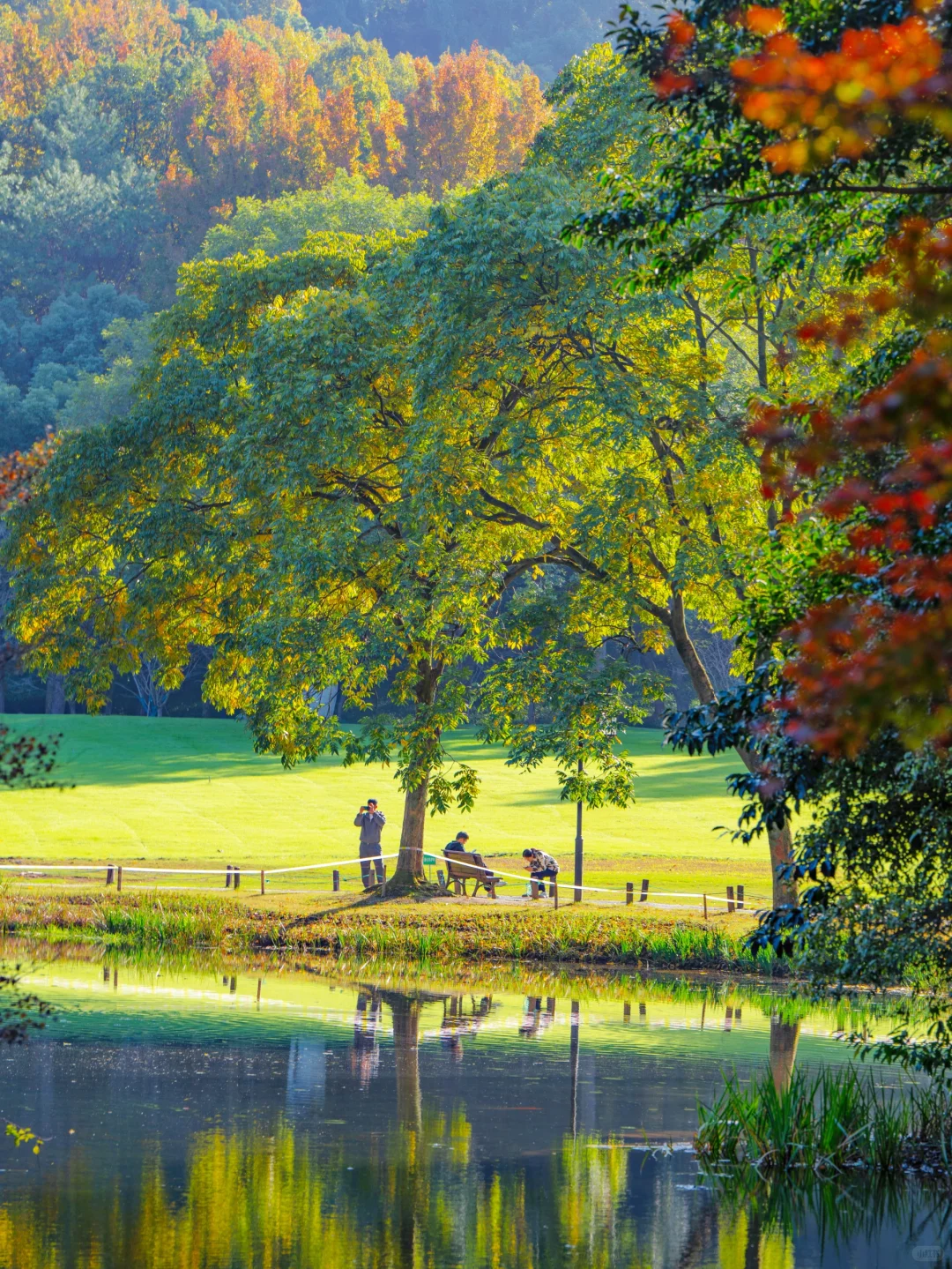 接下来，杭州堪称国内旅行的天花板‼️