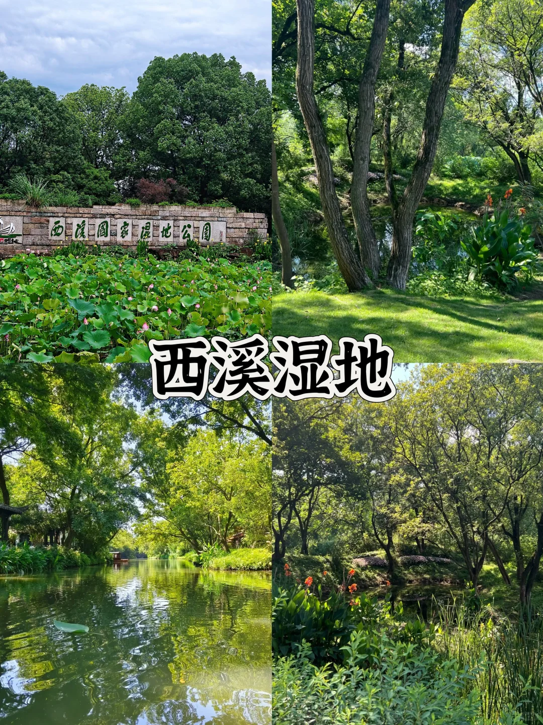 杭州必玩九大景点‼️（本地人亲测不踩雷）