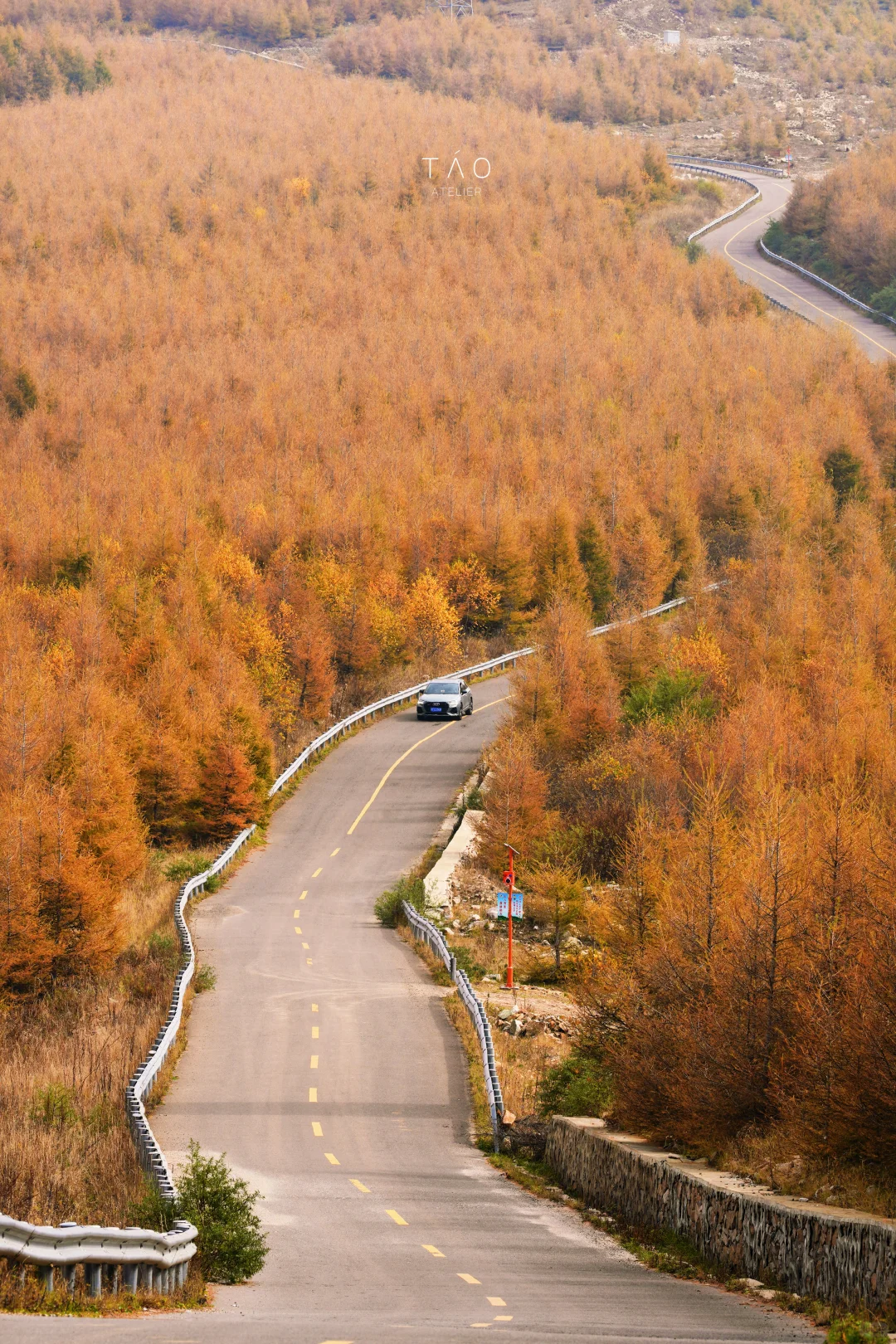 🍁崇礼六大赏秋秘境｜闯入金色童话世界