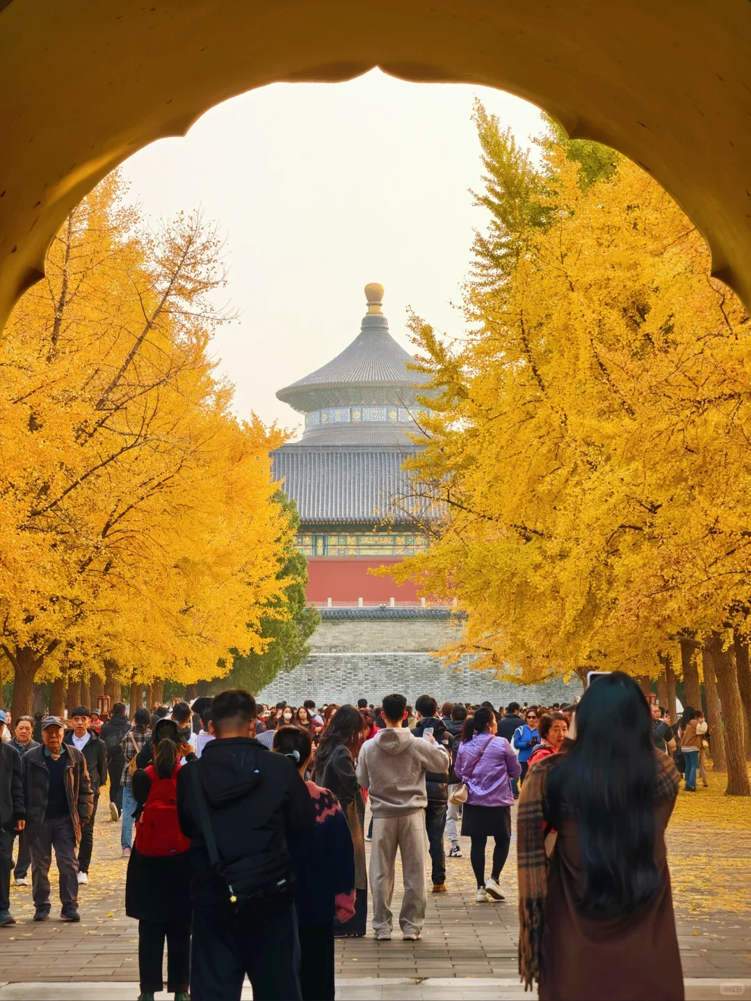 北京现状,10月要去的姐妹尽快改行程...
