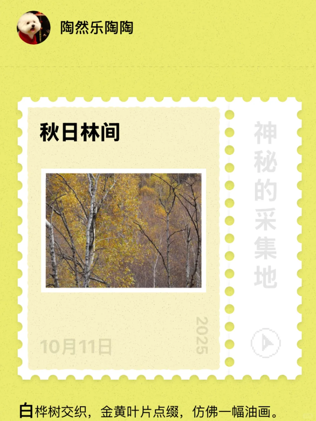 🍁崇礼六大赏秋秘境｜闯入金色童话世界