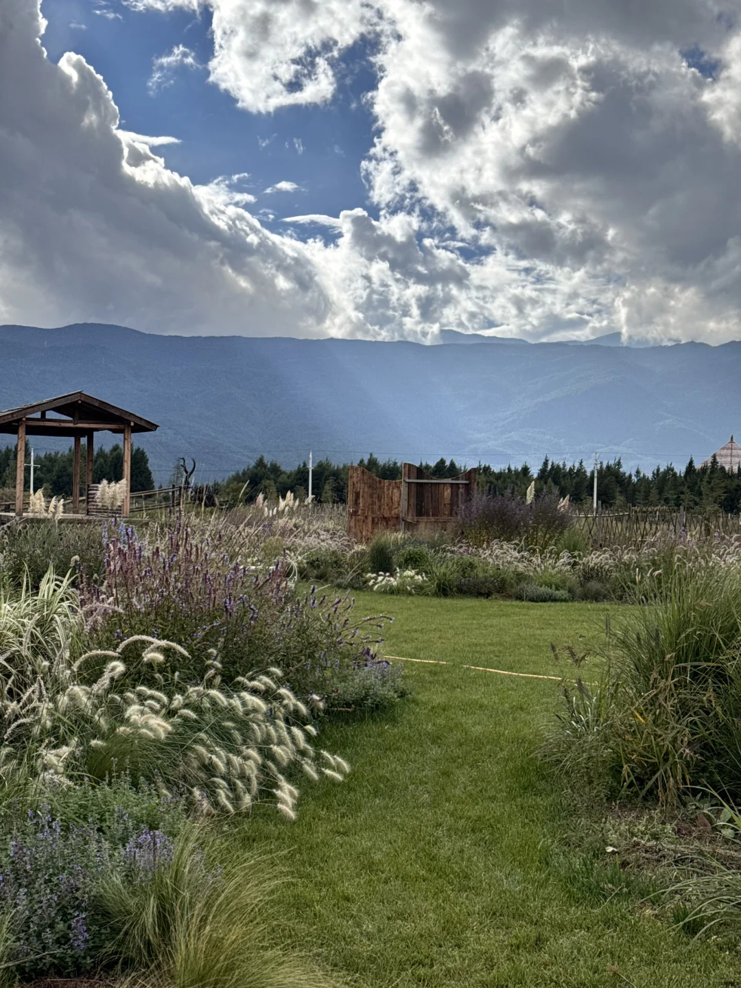 丽江一些漂亮值得去的店 live 实况（附攻略）