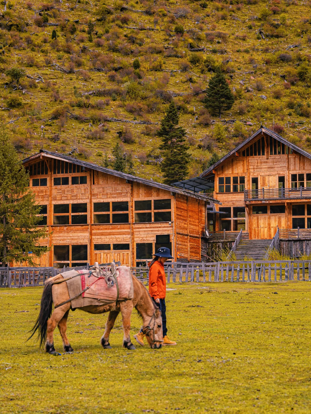 接下来的四姑娘山，是封神级别的秋景🍂