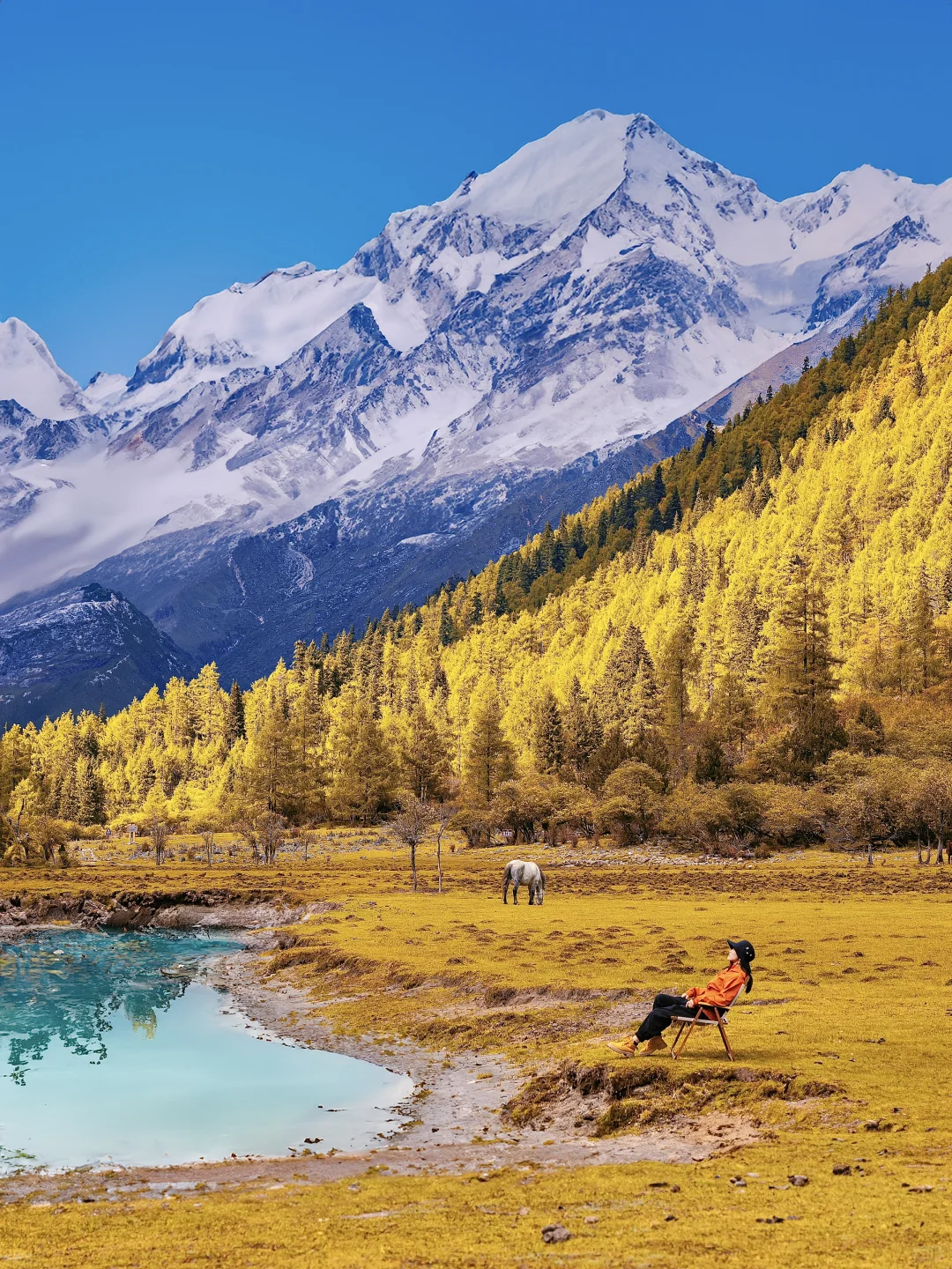 接下来的四姑娘山，是封神级别的秋景🍂