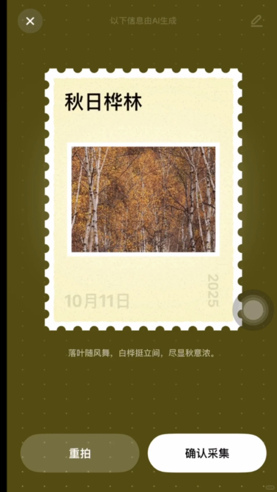 🍁崇礼六大赏秋秘境｜闯入金色童话世界