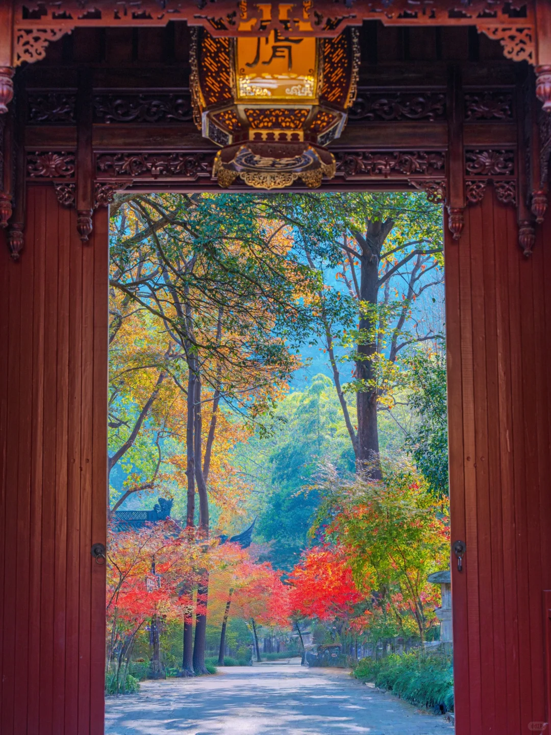 接下来，杭州堪称国内旅行的天花板‼️