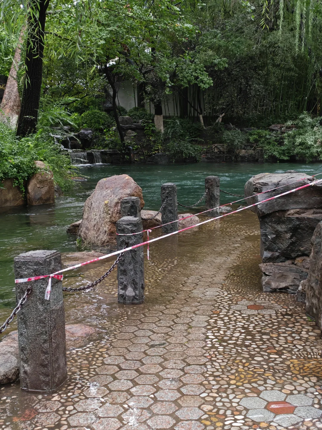 济南的泉水已经溢出来了……