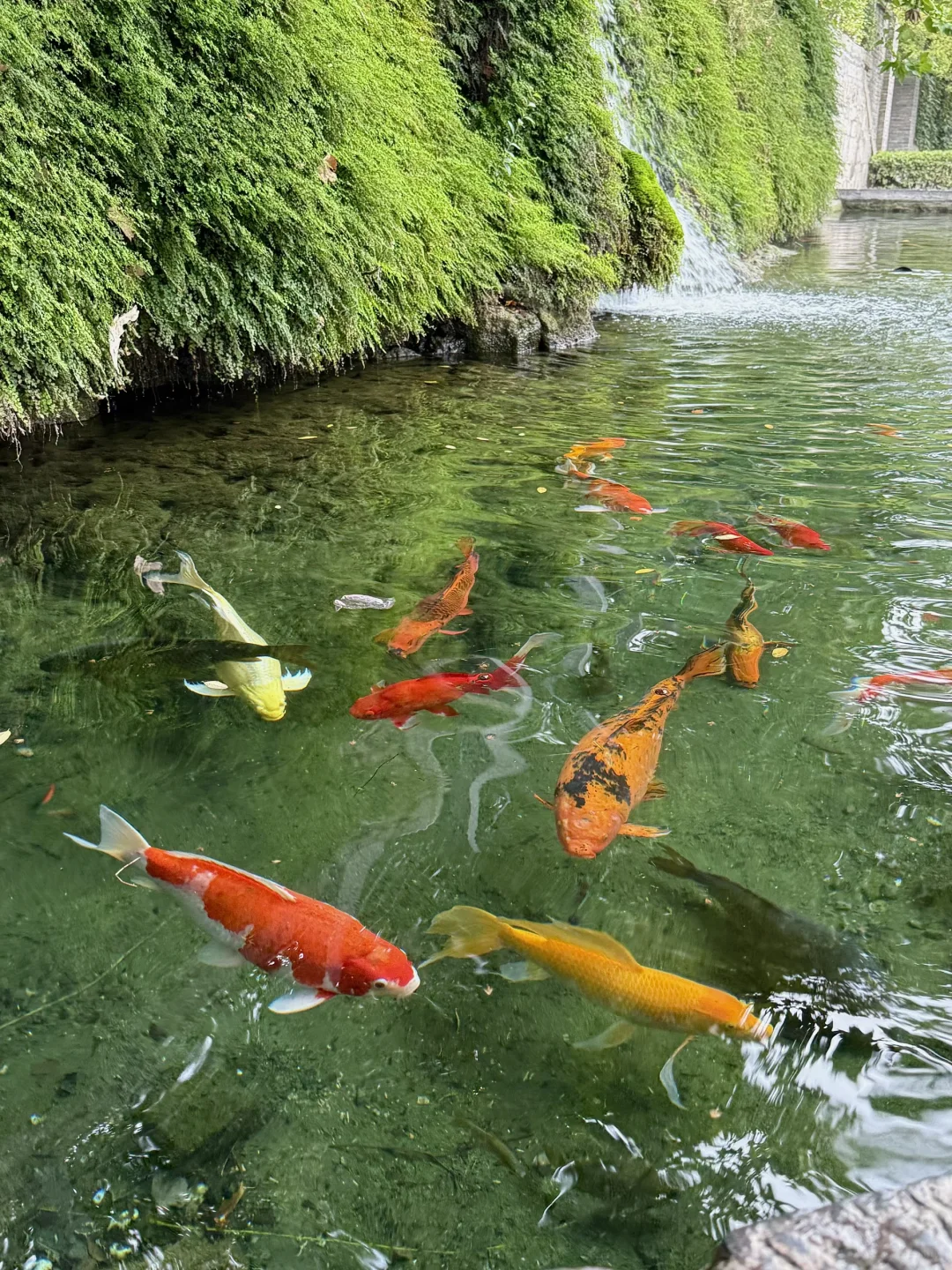 洛阳｜4天3晚自驾攻略🏮（图文版）