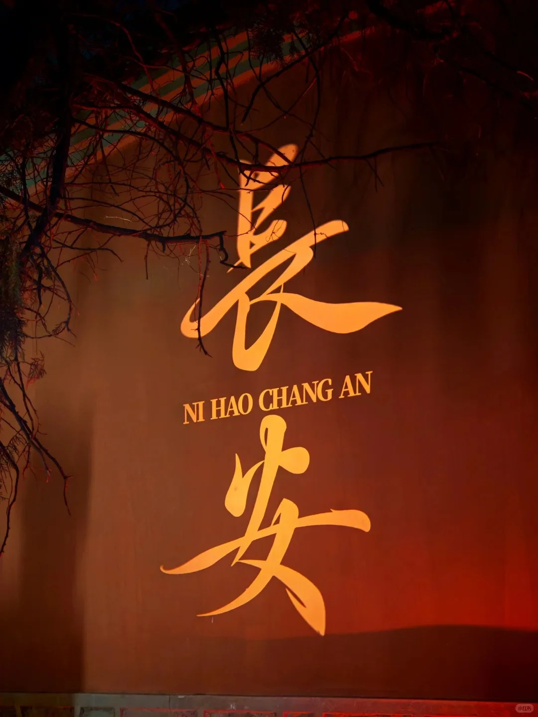 🌆恋爱脑版全国环线游