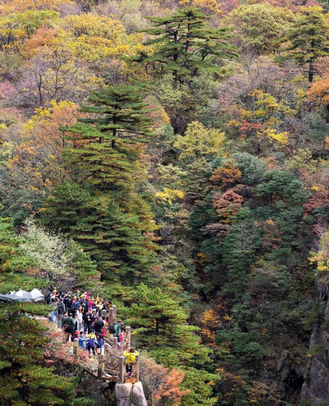 安徽又对长三角市民发福利了！
