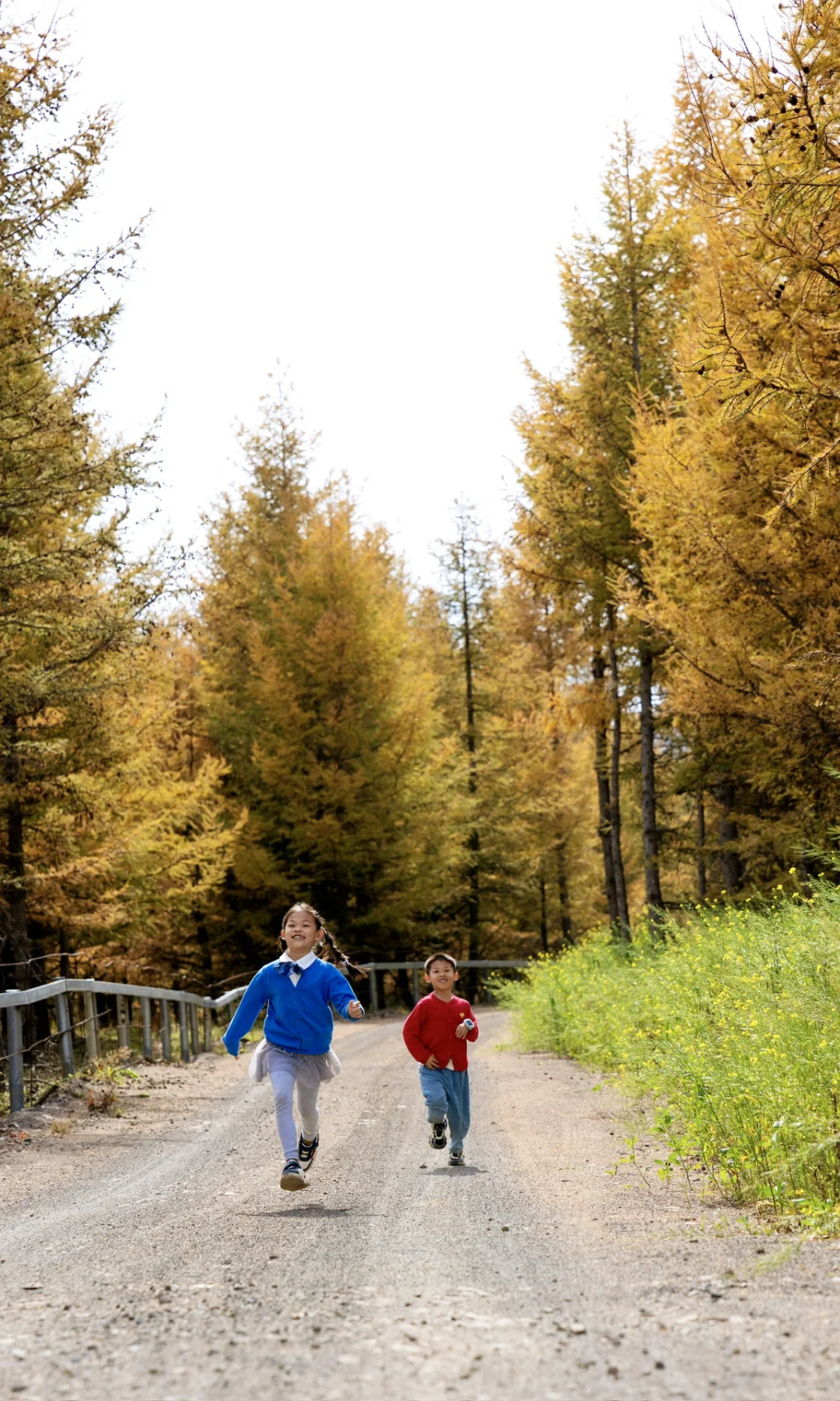 北京3h🚗 闯进了秋天的油画世界！