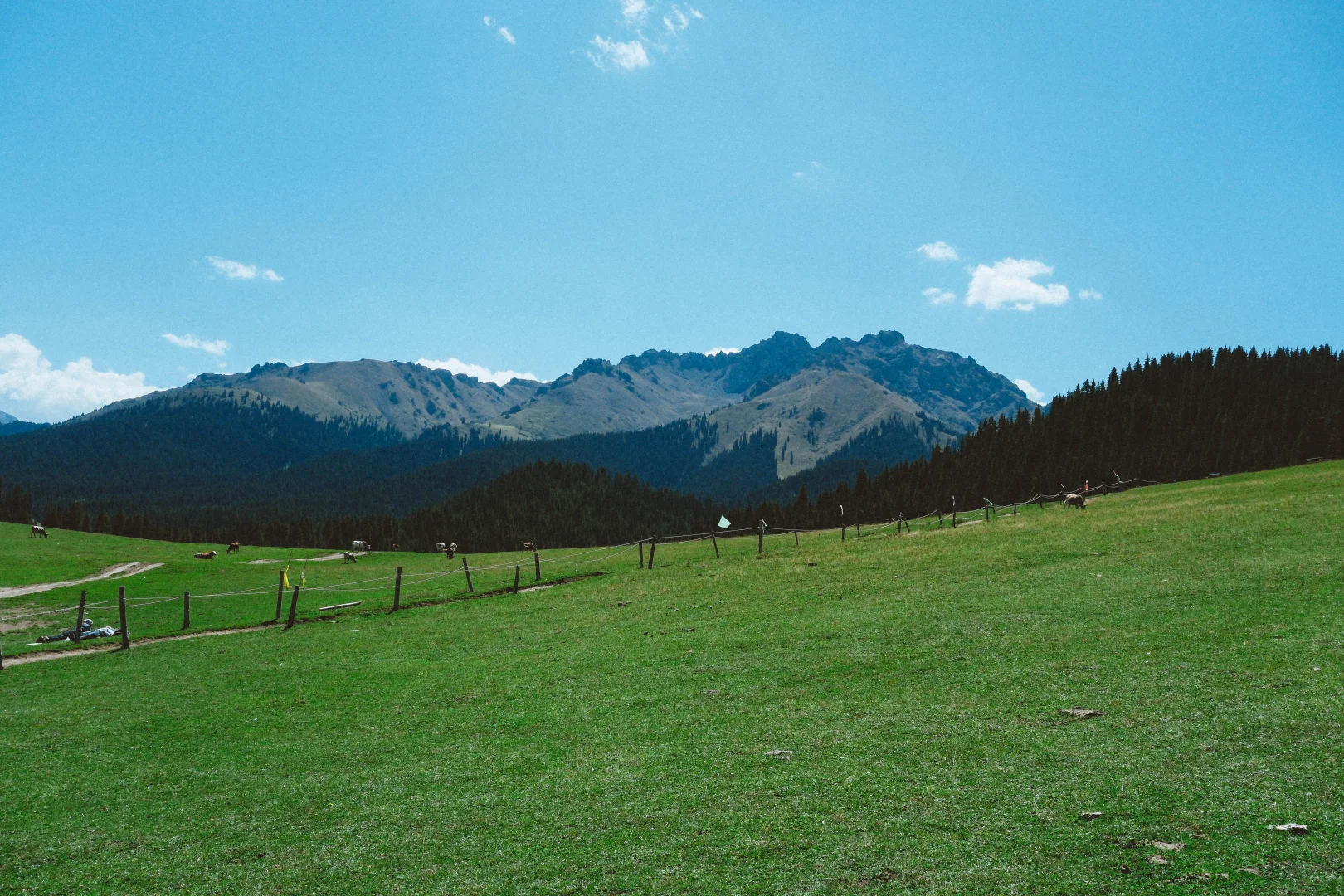 有草原的地方都好可爱呀！