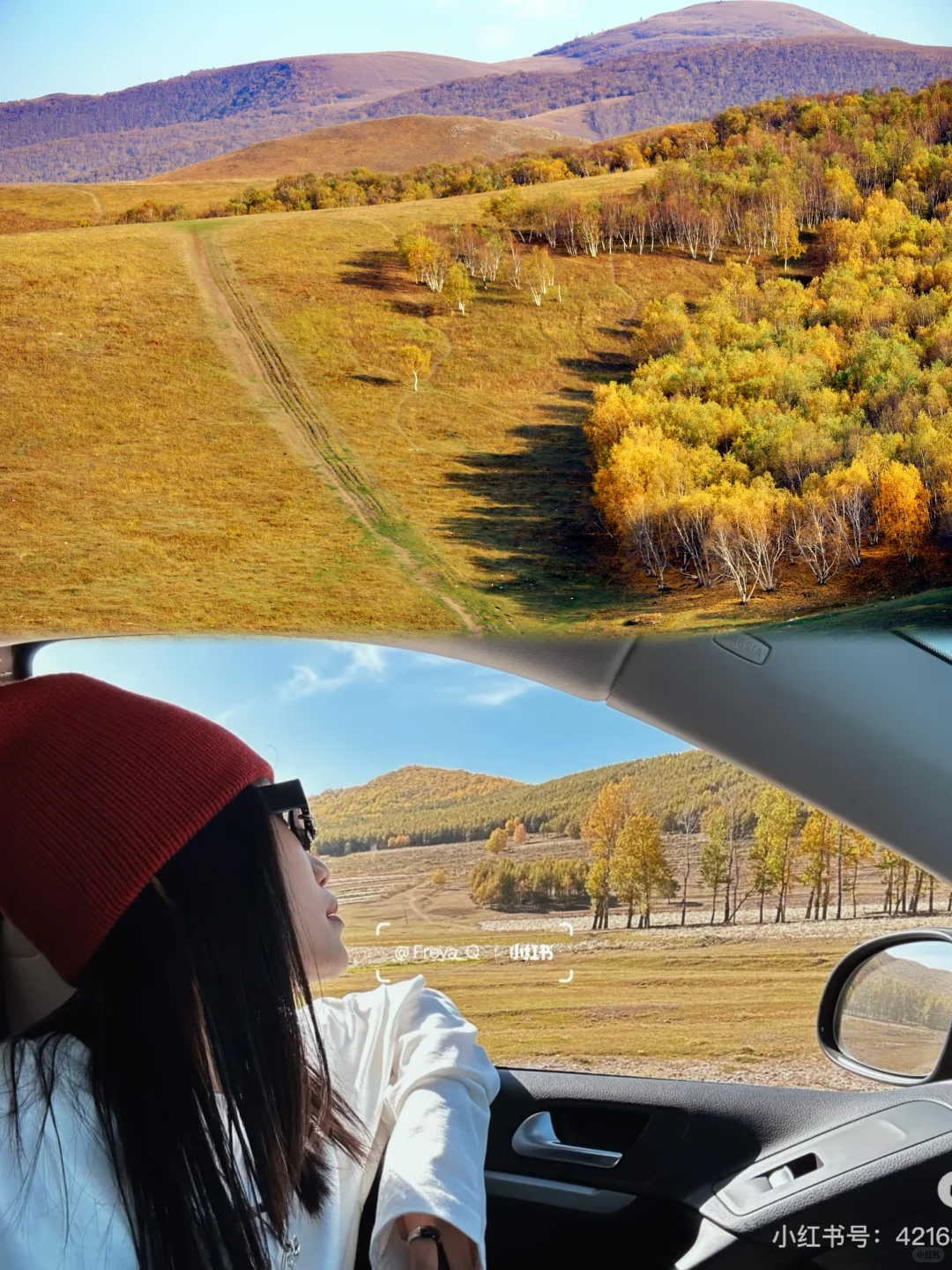 天津周边游|牛马们十一反向出行就选这条路!