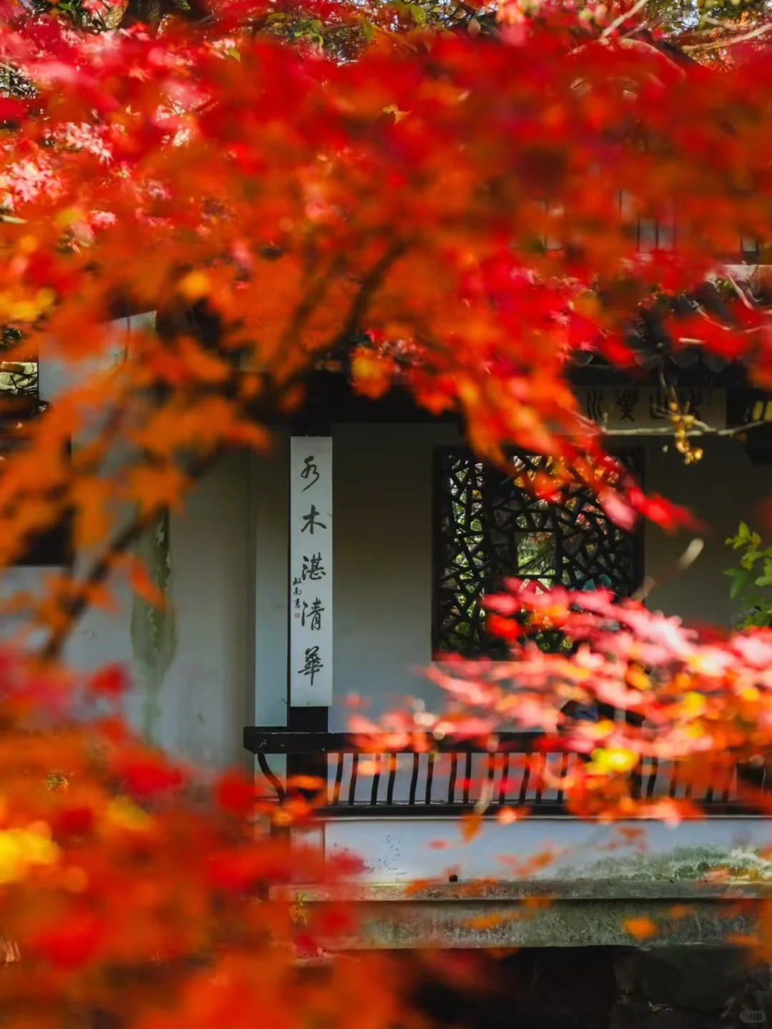 建议全文背诵！无锡最全秋日漫步地图大公开！