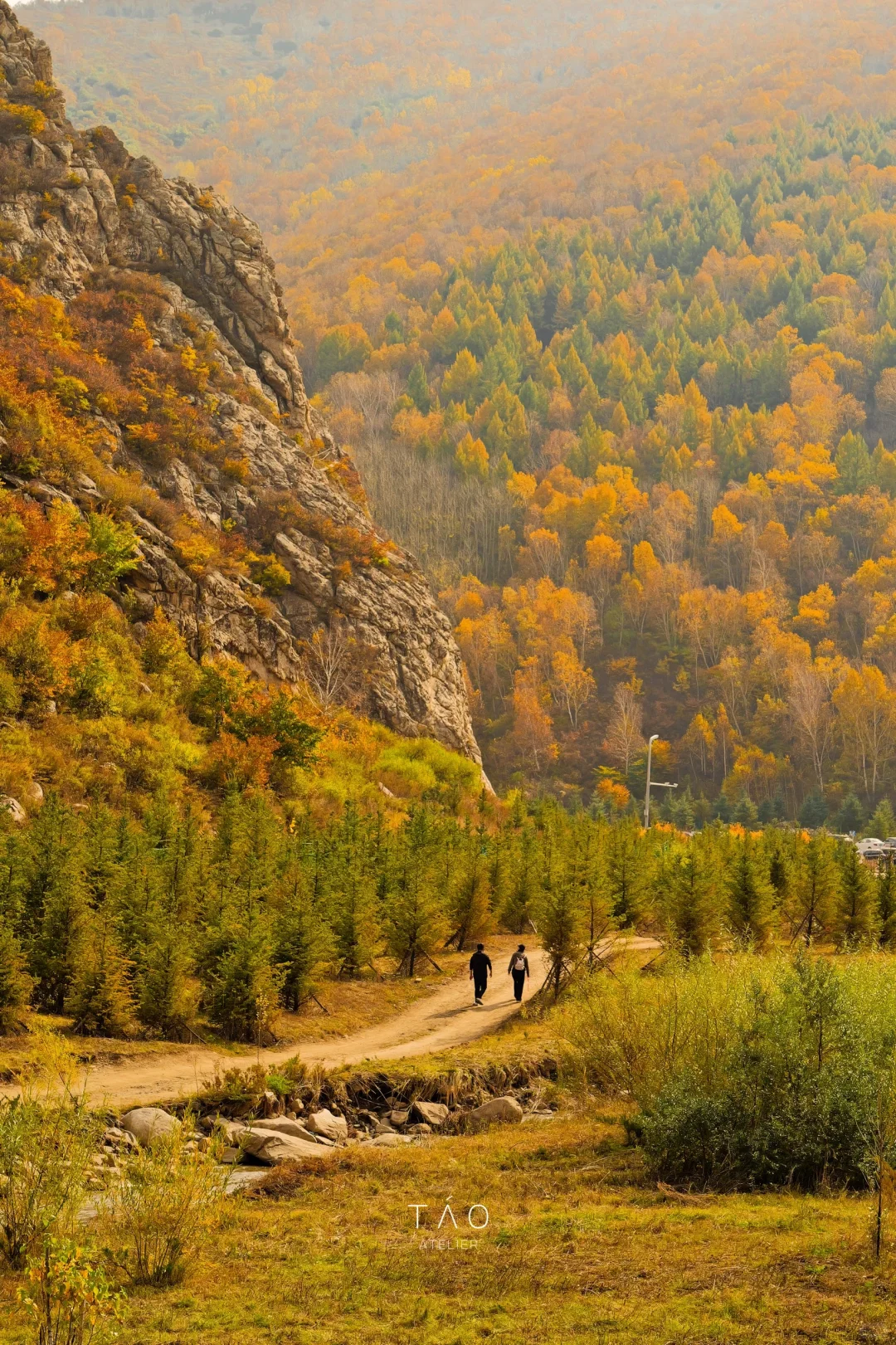 🍁崇礼六大赏秋秘境｜闯入金色童话世界