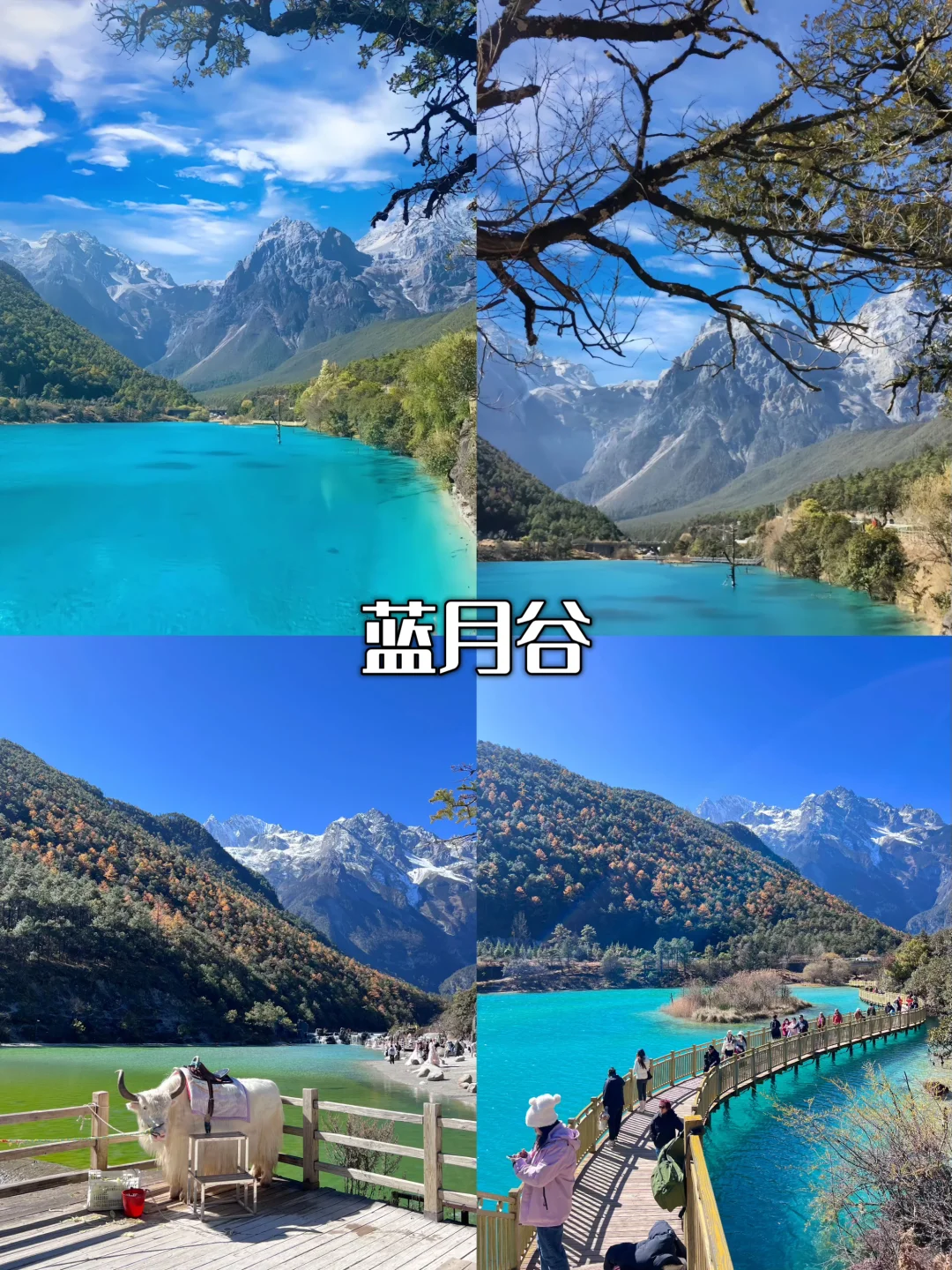 2025 国庆云南全攻略｜昆大丽一次玩遍🥁