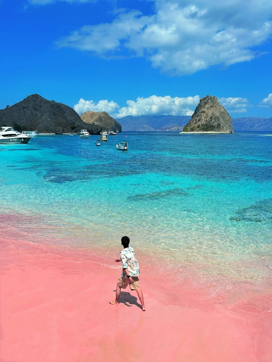 巴厘岛可以不去，科莫多一定要来！！！