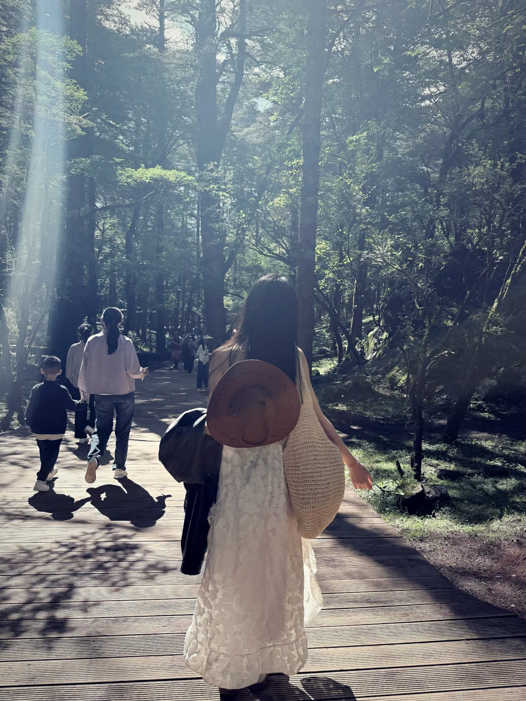 八天七夜的云南旅游攻略ദ്ദി•͈ᴗ⁃͈ )✧