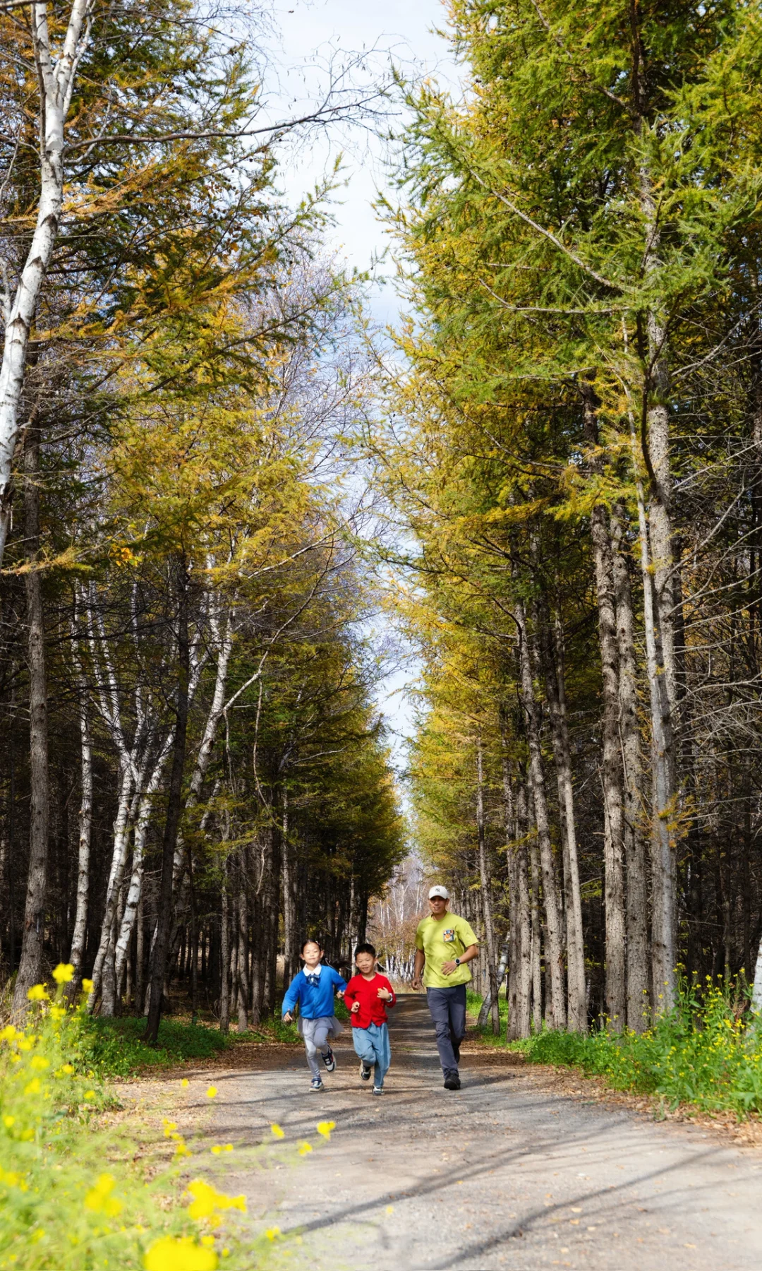 北京3h🚗 闯进了秋天的油画世界！