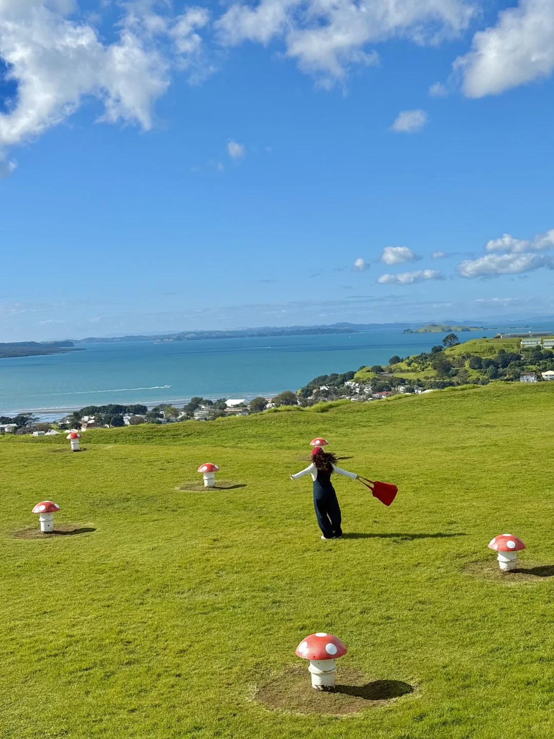 奥克兰已回，坚决不删！！！能劝一个是一个……