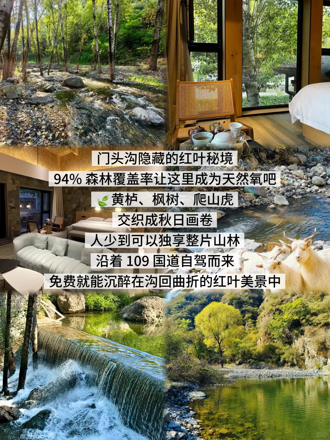 北京秋日小众打卡地🍂郊区篇攻略版