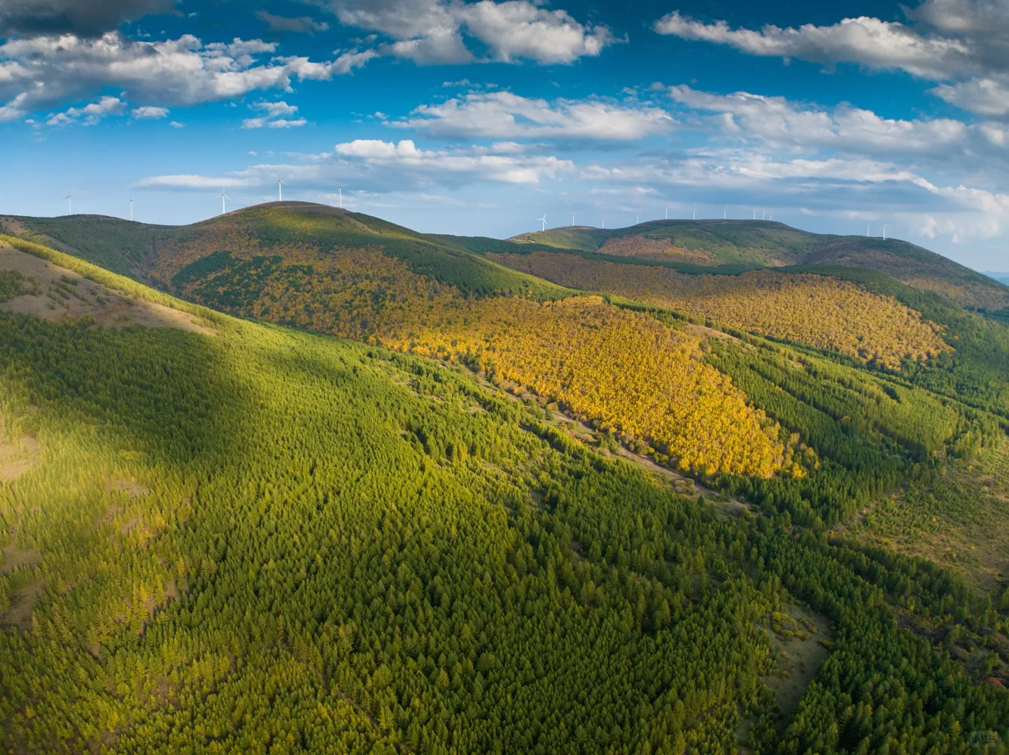 天津周边游|牛马们十一反向出行就选这条路!