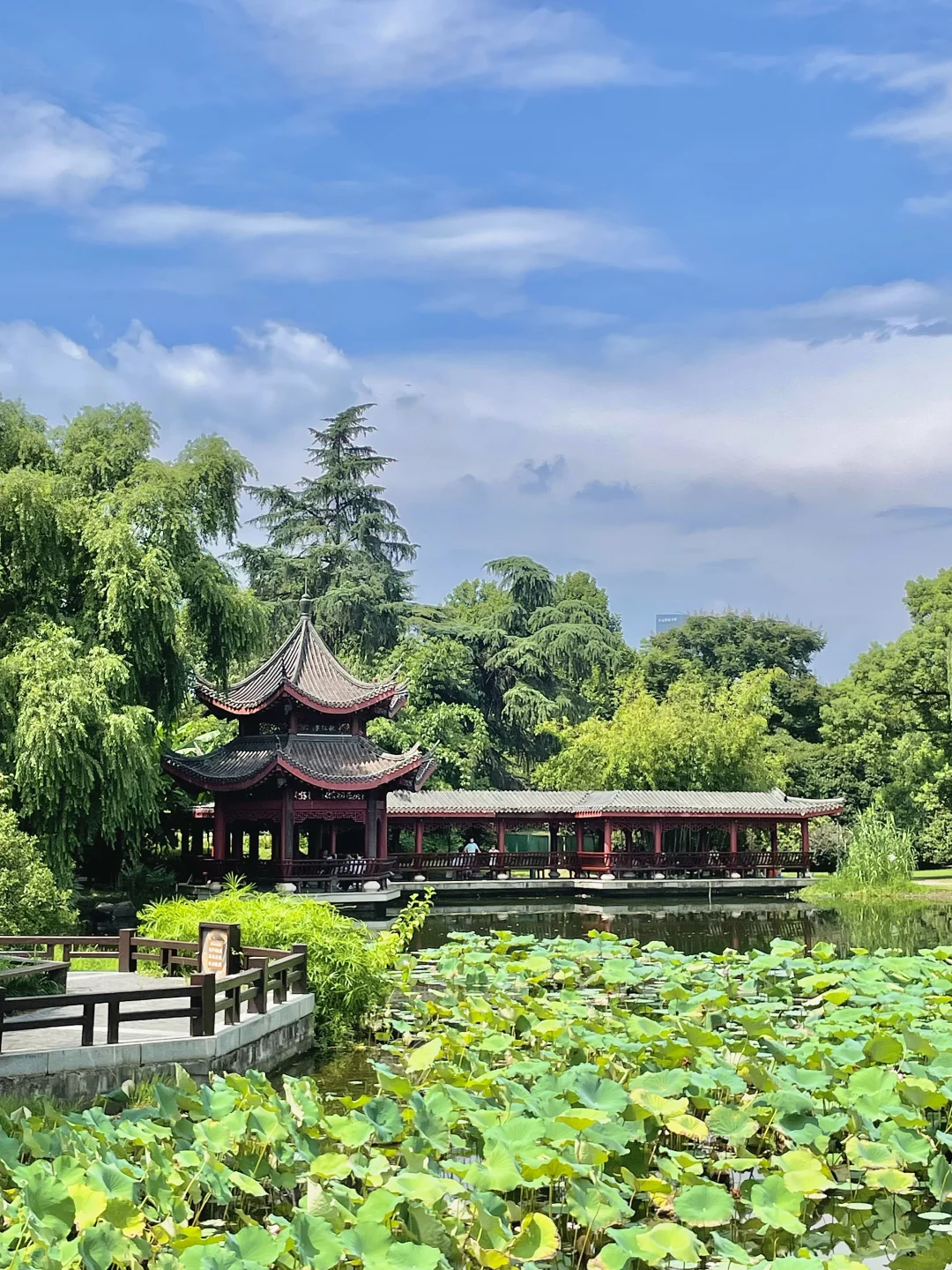 用18张图纪念我的长沙之旅🥹🐾