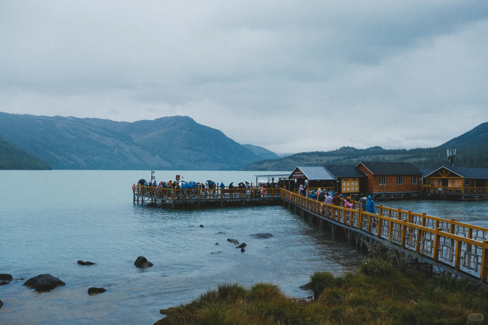 有草原的地方都好可爱呀！