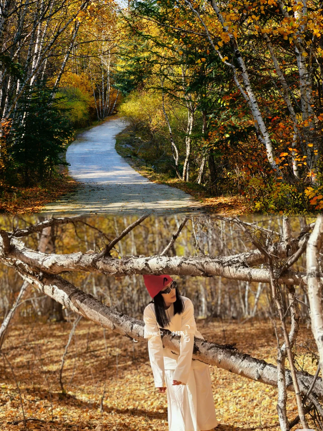 天津周边游|牛马们十一反向出行就选这条路!