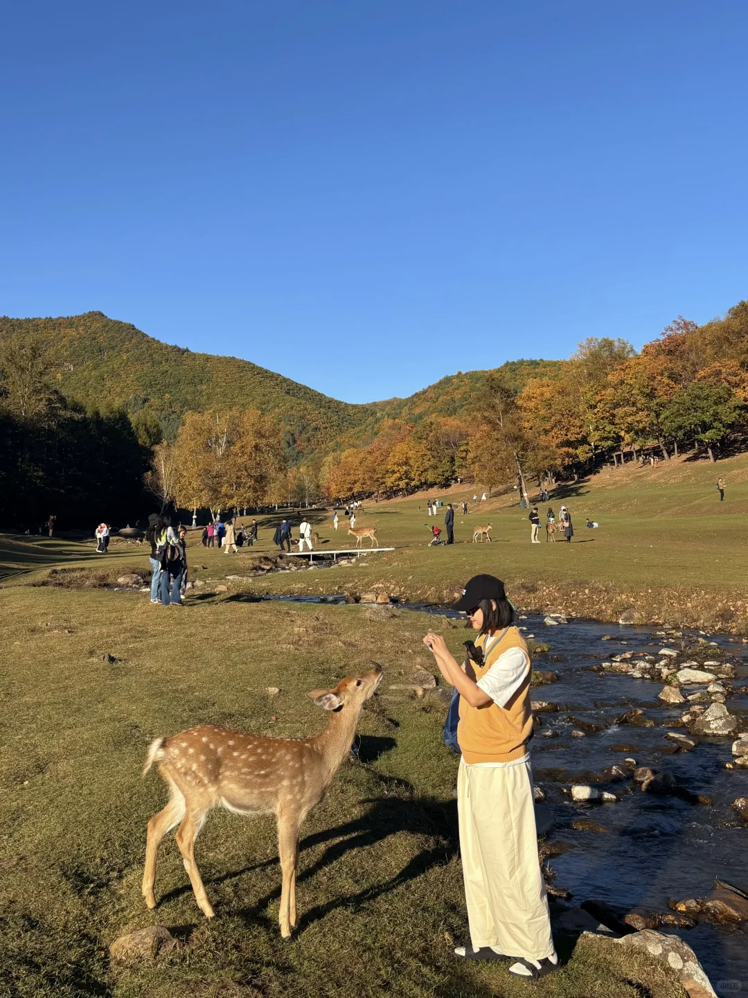 🍂一定要在秋天去一次小兴安岭