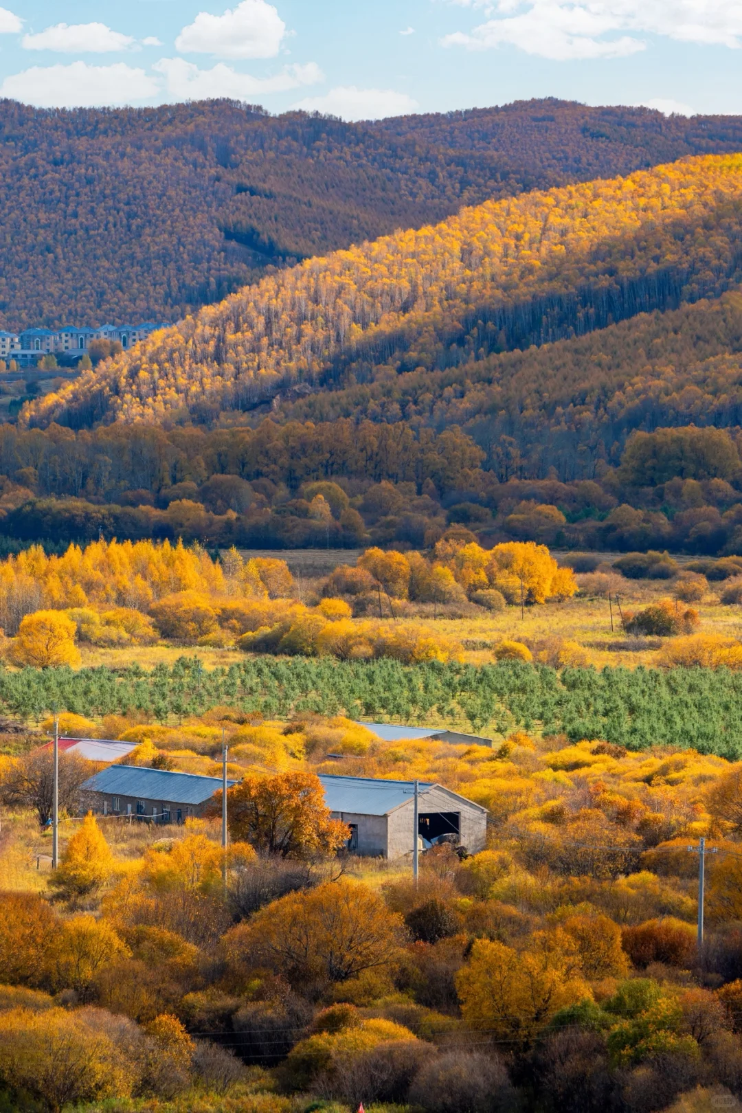 阿尔山，满足了我对大兴安岭秋天的所有幻想