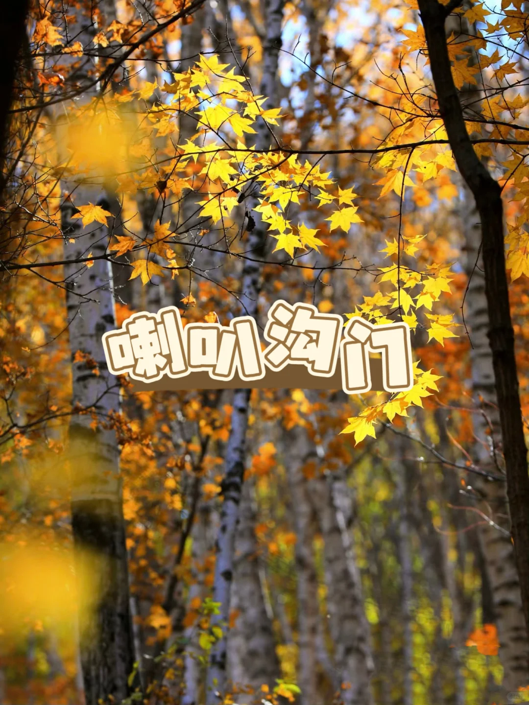 北京秋日小众打卡地🍂郊区篇攻略版