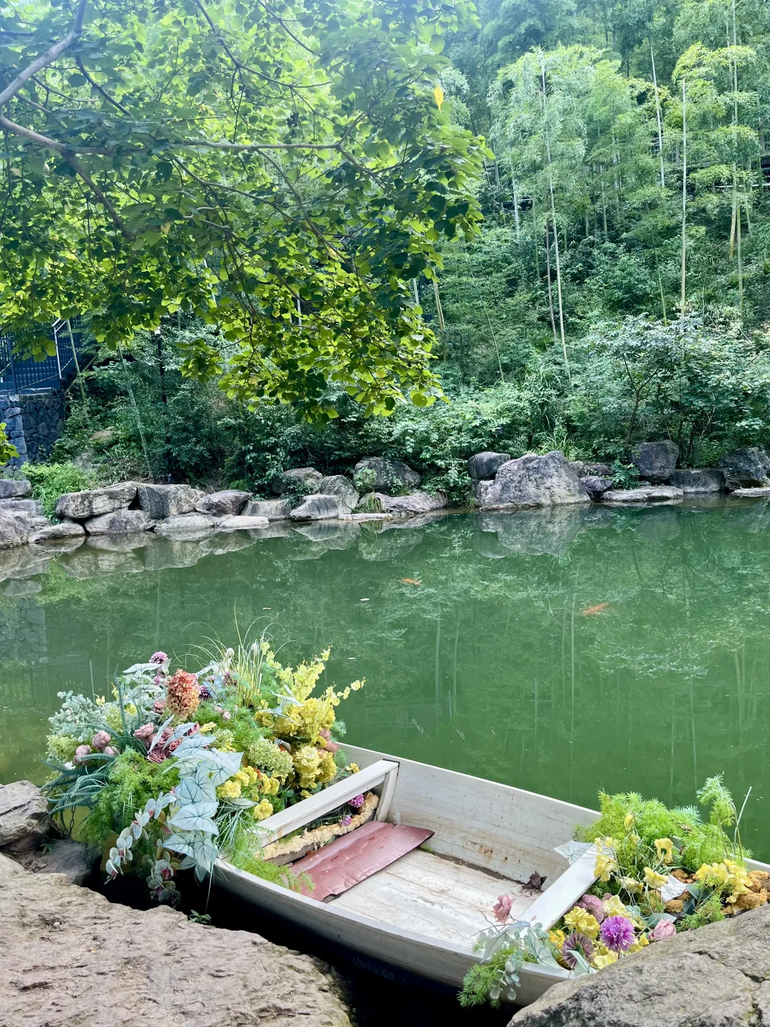 这里的风景真的太好看了！⛰️