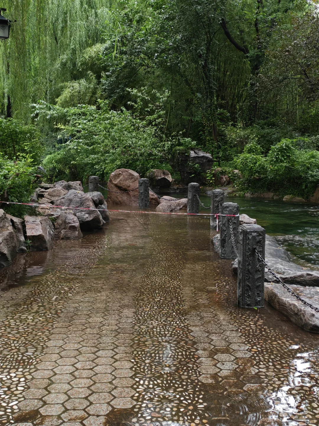 济南的泉水已经溢出来了……