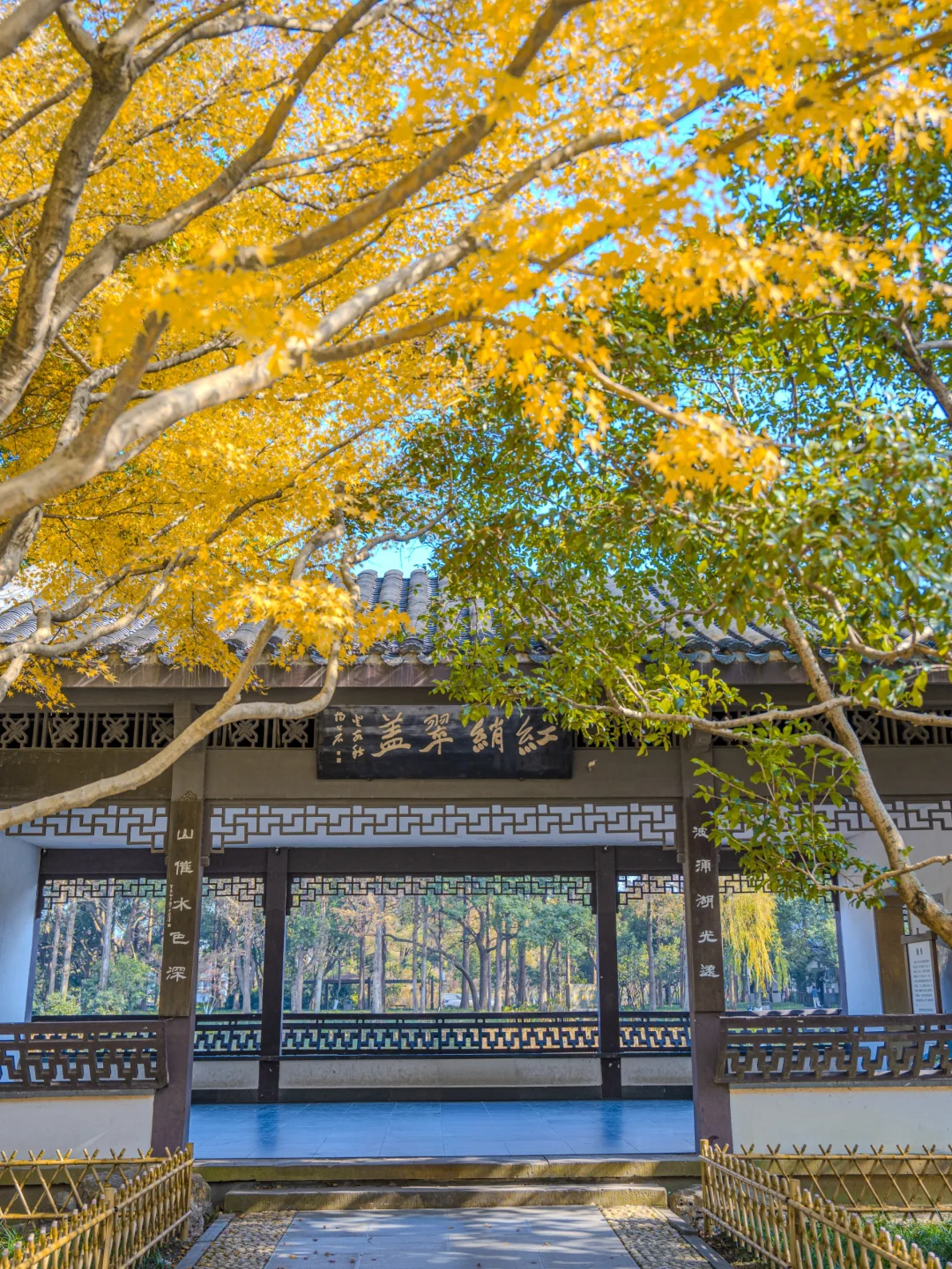 接下来，杭州堪称国内旅行的天花板‼️