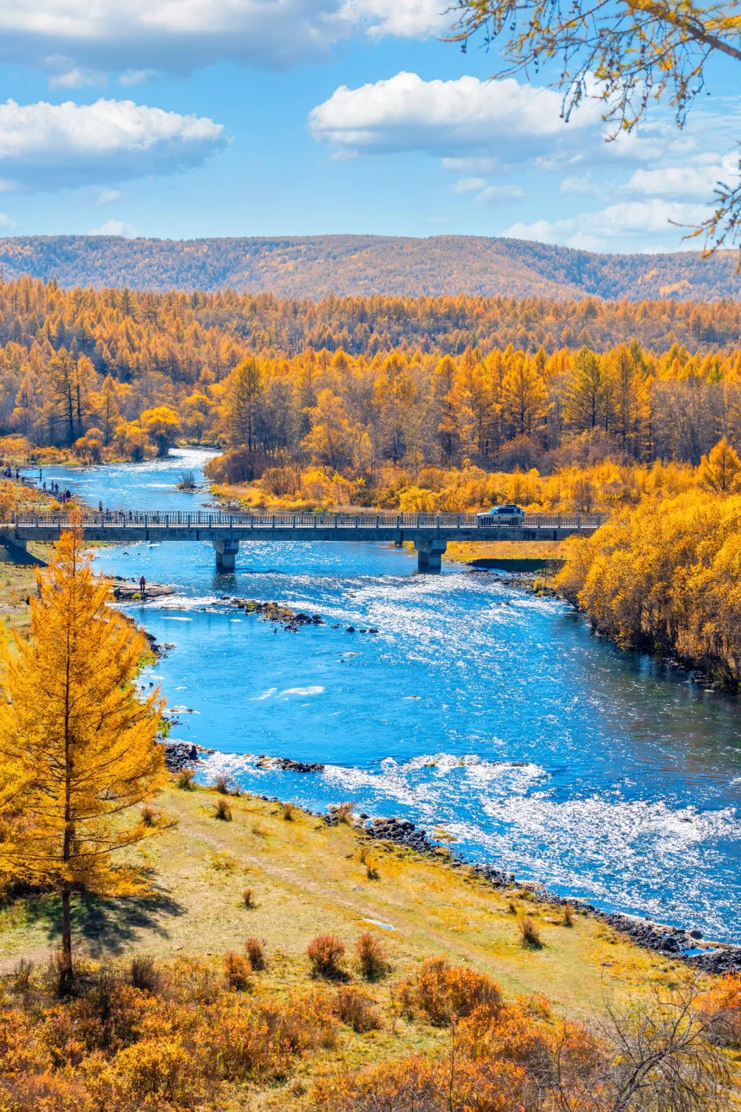 阿尔山，满足了我对大兴安岭秋天的所有幻想