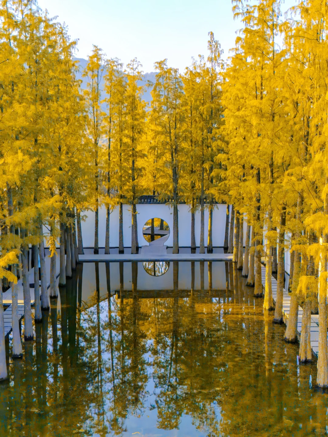 接下来，杭州堪称国内旅行的天花板‼️