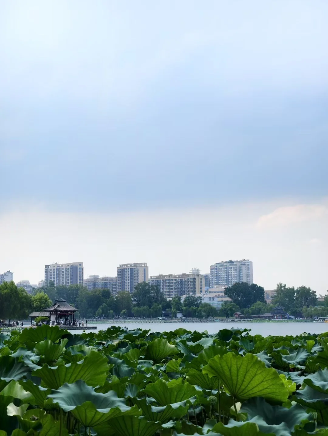 滴…济南趵突泉…