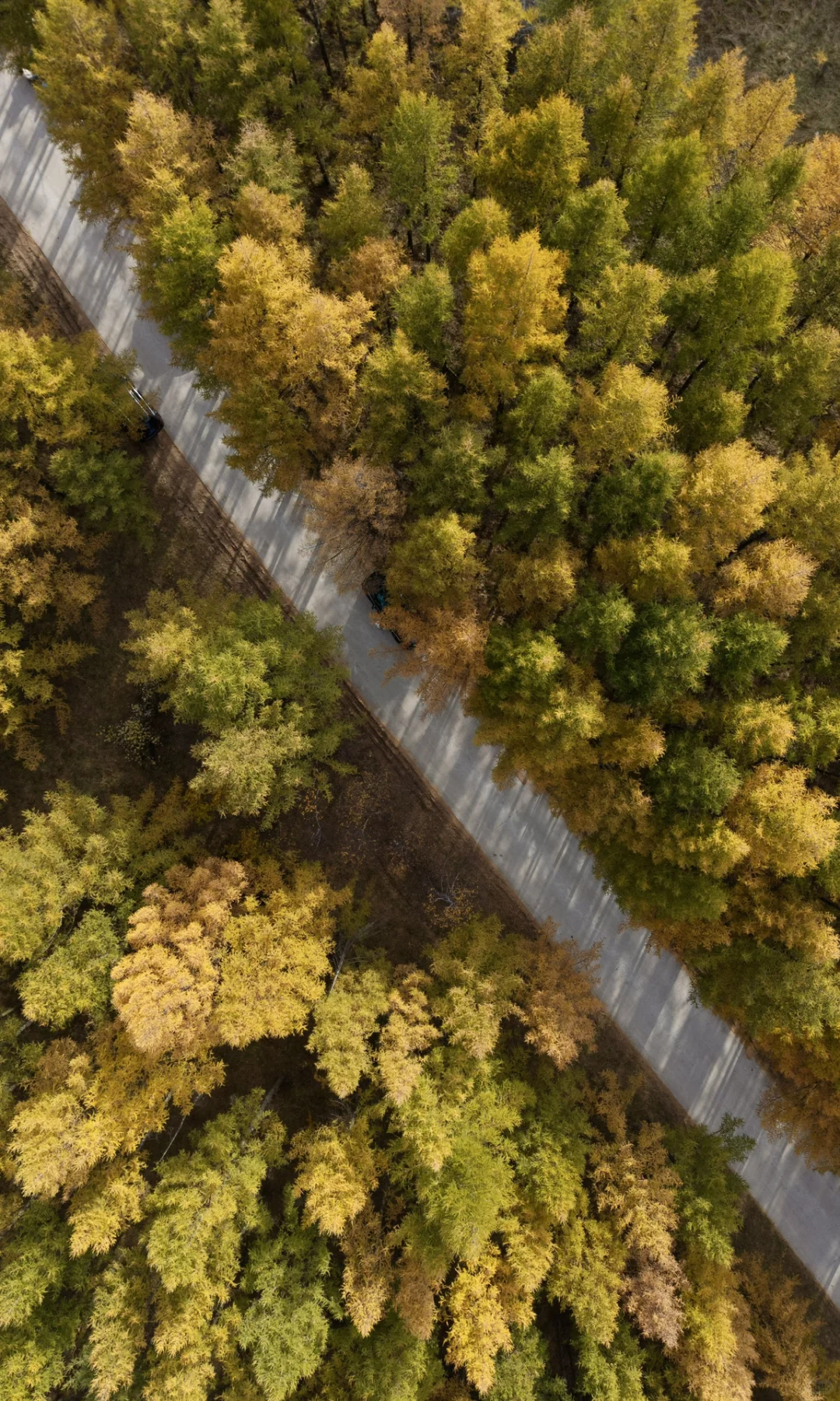 北京3h🚗 闯进了秋天的油画世界！