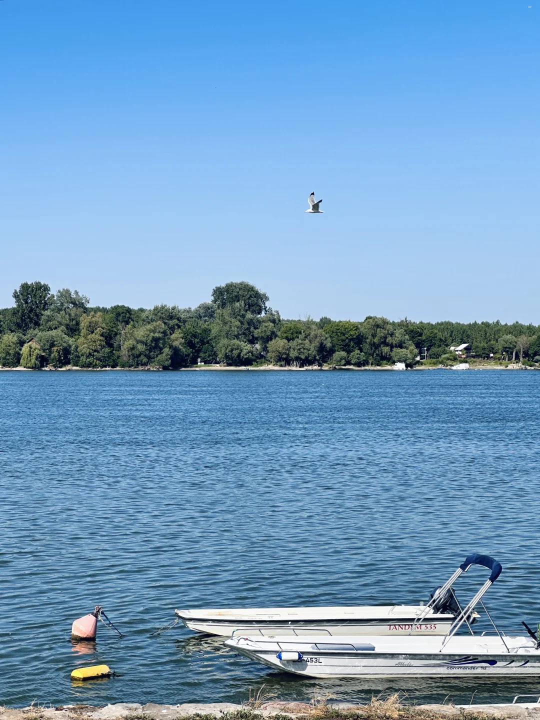 塞尔维亚🇷🇸免签国|享蓝色多瑙河的浪漫💕