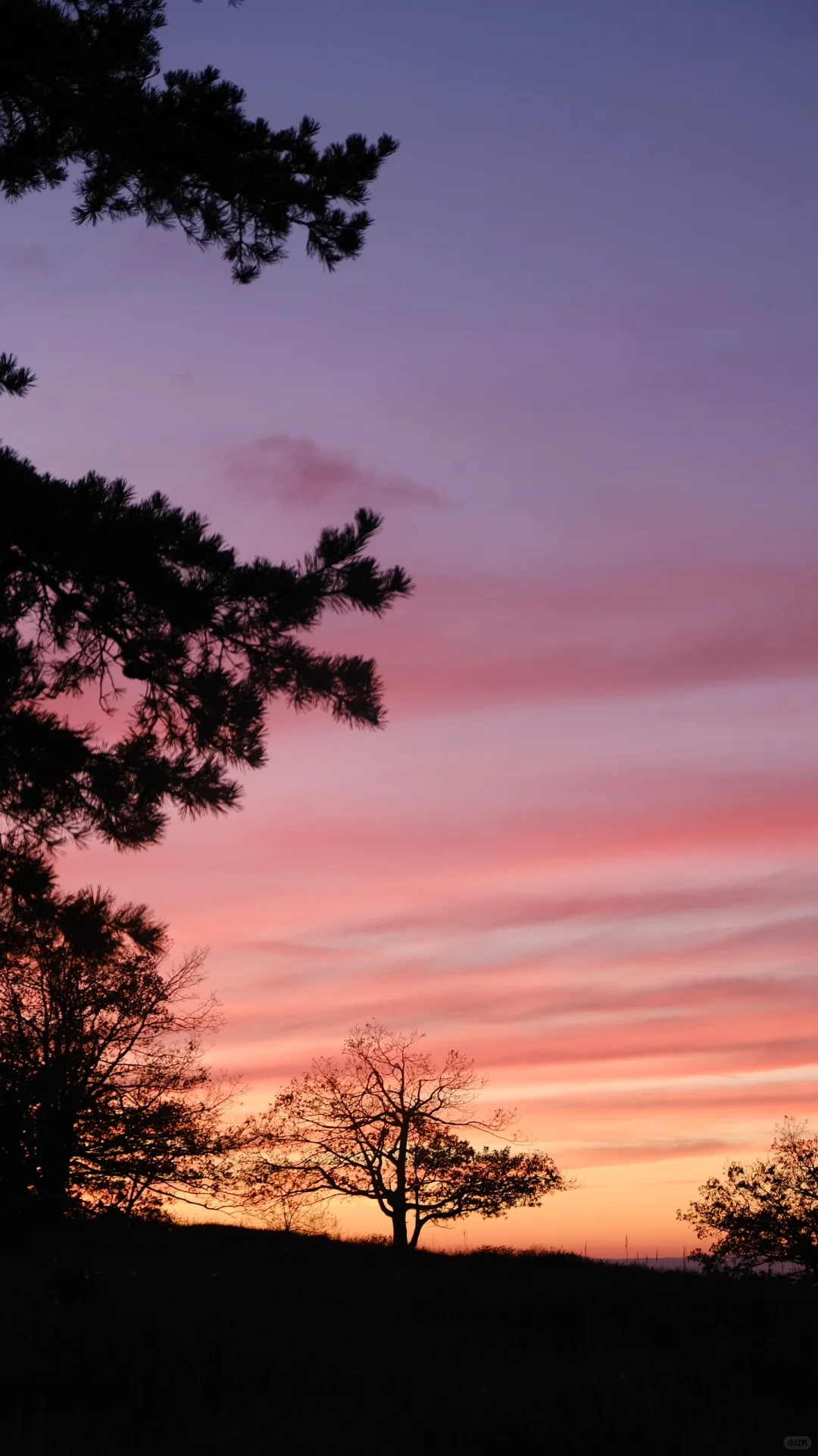 📸2021-2022最喜欢的18张图存档