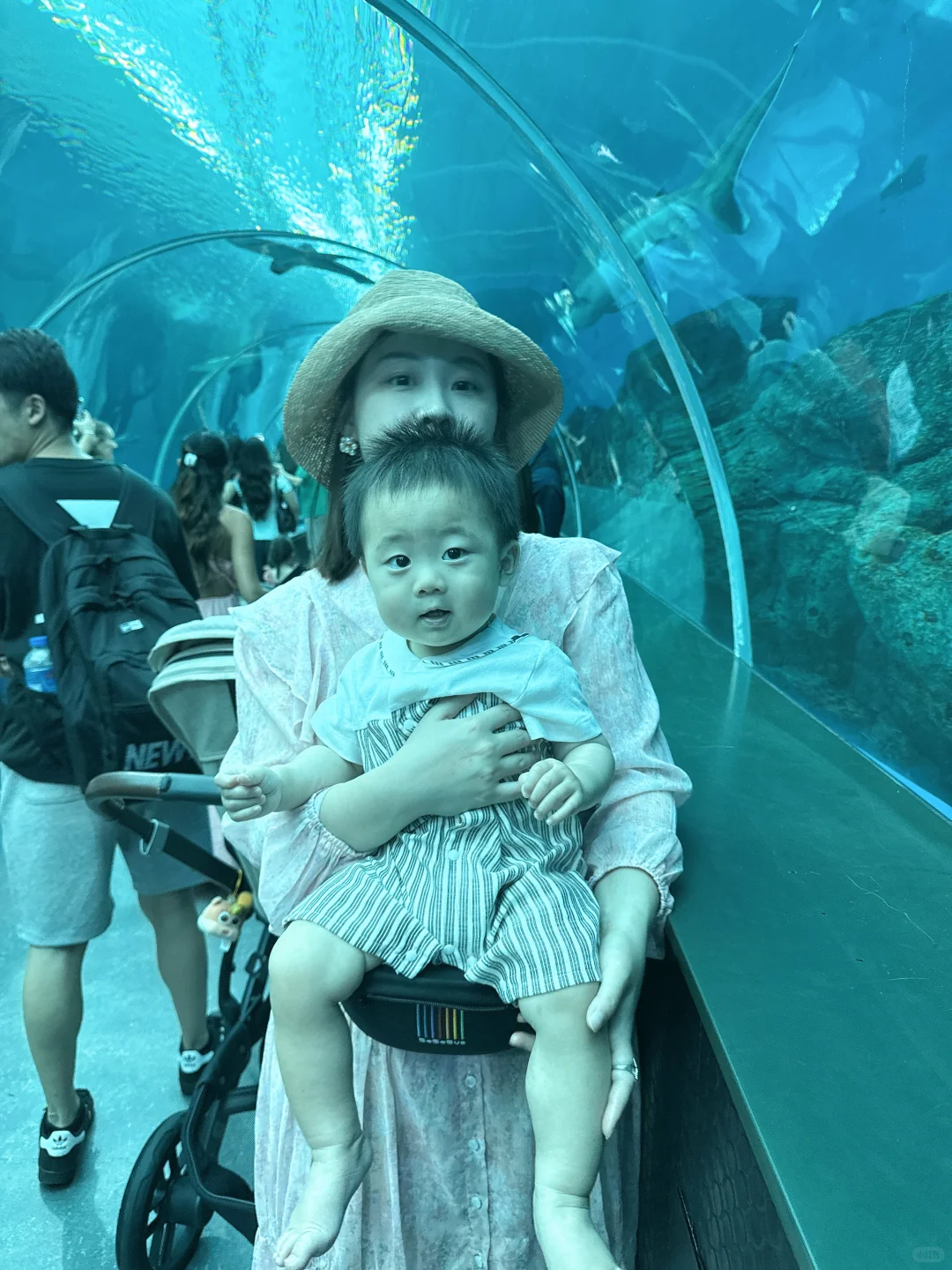 新加坡🇸🇬6天5晚亲子游｜1岁👶宝宝说走就走