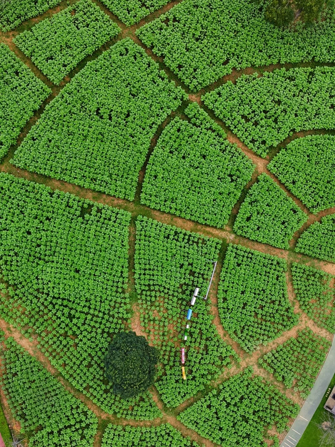 江浙沪。最具仙侠气息的古镇出现了