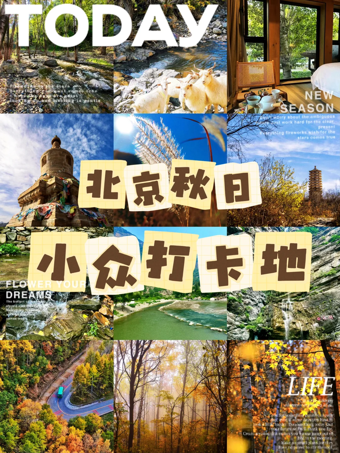 北京秋日小众打卡地🍂郊区篇攻略版