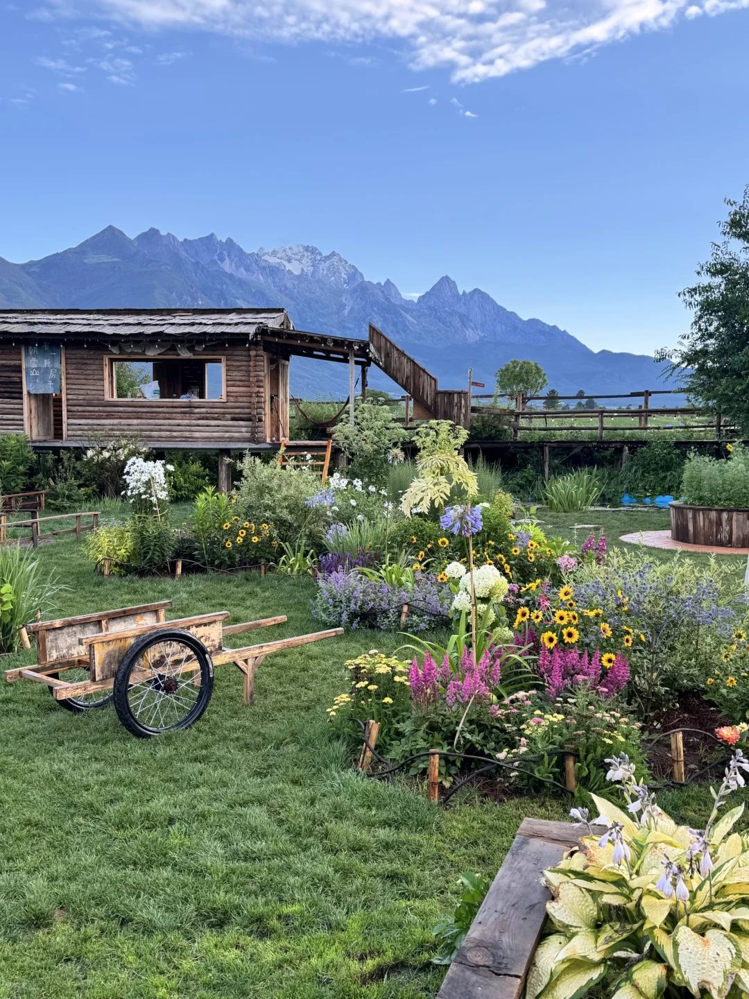 丽江一些漂亮值得去的店 live 实况（附攻略）