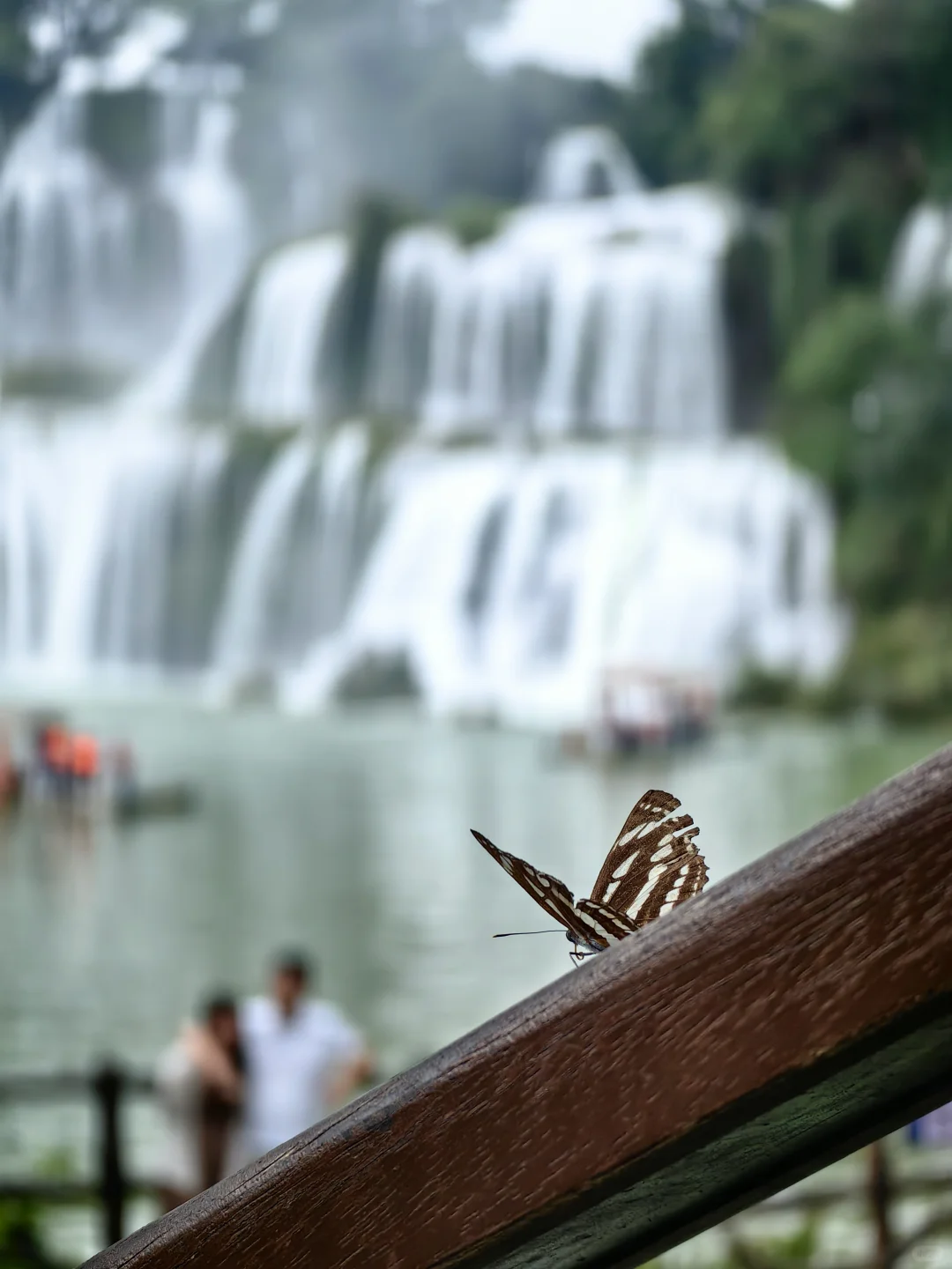 被德天瀑布美到失语