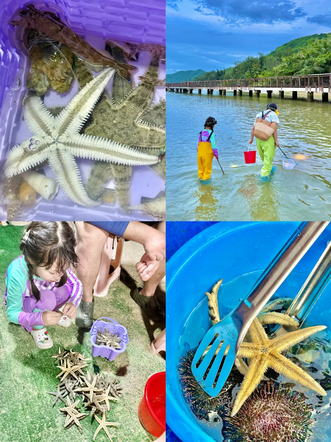 带娃三刷陵水，一点都不累！比迪士尼还好玩❗️