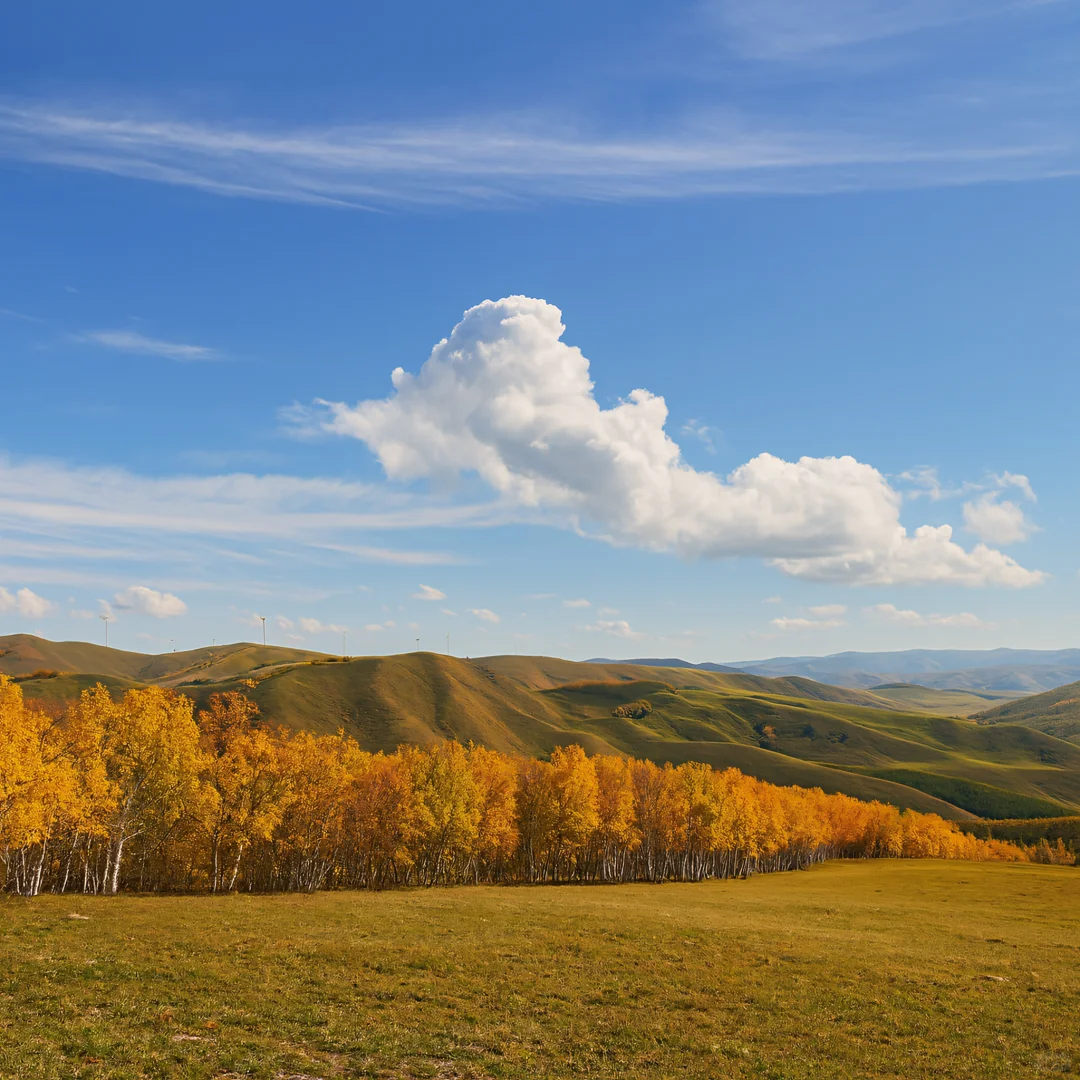 3小时自驾！北京周边遇见“京北阿勒泰”