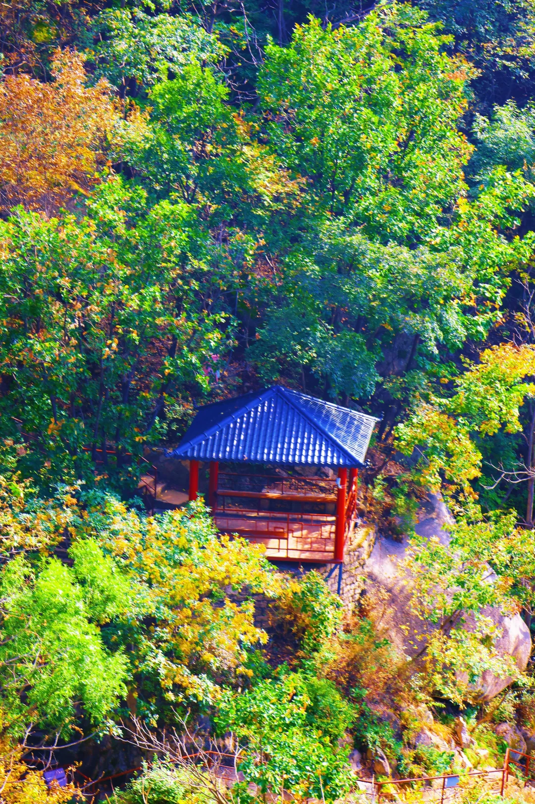 🚗京津周边|山里已层林尽染，人少景美绝绝子